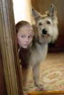 Because of Winn Dixie - 8 x 10 Color Photo #12