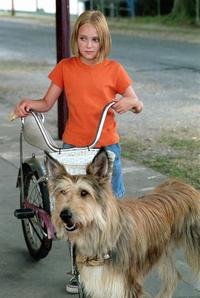 Because of Winn Dixie - 8 x 10 Color Photo #2