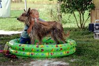 Because of Winn Dixie - 8 x 10 Color Photo #7