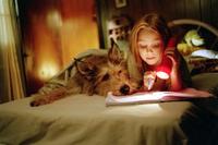 Because of Winn Dixie - 8 x 10 Color Photo #9