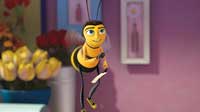 Bee Movie - 8 x 10 Color Photo #10