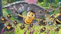 Bee Movie - 8 x 10 Color Photo #11