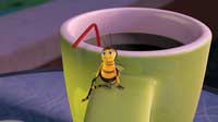 Bee Movie - 8 x 10 Color Photo #13