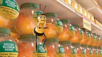 Bee Movie - 8 x 10 Color Photo #15