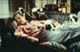 Beethoven's 2nd - 8 x 10 Color Photo #11