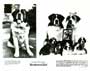 Beethoven's 2nd - 8 x 10 B&W Photo #3