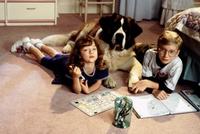 Beethoven's 2nd - 8 x 10 Color Photo #1
