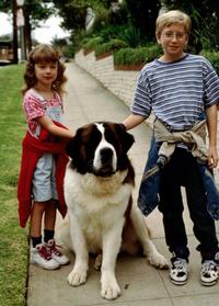 Beethoven's 2nd - 8 x 10 Color Photo #3