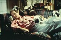 Beethoven's 2nd - 8 x 10 Color Photo #11