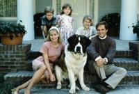 Beethoven's 2nd - 8 x 10 Color Photo #19
