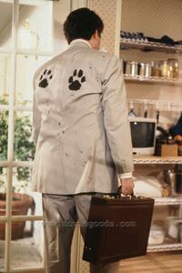 Beethoven's 2nd - 8 x 10 Color Photo #22