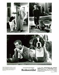 Beethoven's 2nd - 8 x 10 B&W Photo #7