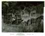 Beneath the Planet of the Apes - 8 x 10 B&W Photo #8