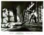 Beneath the Planet of the Apes - 8 x 10 B&W Photo #9