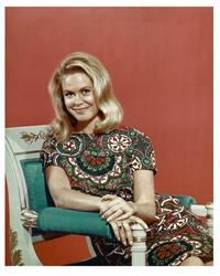 Bewitched - 8 x 10 Color Photo #1