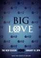 Big Love (TV) - 11 x 17 TV Poster - Style E