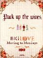 Big Love (TV) - 11 x 17 TV Poster - Style M