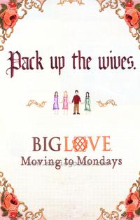 Big Love (TV) - 11 x 17 TV Poster - Style A