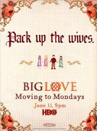 Big Love (TV) - 11 x 17 TV Poster - Style M