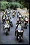 Biker Boyz - 8 x 10 Color Photo #16
