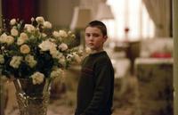 Birth - 8 x 10 Color Photo #12