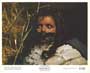 Black Beauty - 8 x 10 Color Photo #1