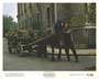 Black Beauty - 8 x 10 Color Photo #4