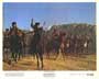 Black Beauty - 8 x 10 Color Photo #5