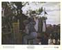 Black Beauty - 8 x 10 Color Photo #6