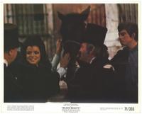 Black Beauty - 8 x 10 Color Photo #2