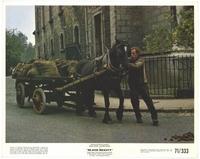 Black Beauty - 8 x 10 Color Photo #4