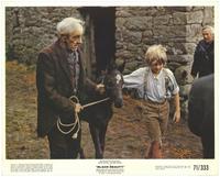 Black Beauty - 8 x 10 Color Photo #8