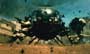 Black Hawk Down - 8 x 10 Color Photo #25