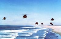 Black Hawk Down - 8 x 10 Color Photo #9