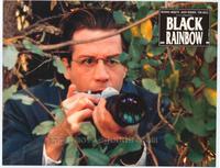 Black Rainbow - 8 x 10 Color Photo #9