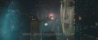 Blade Runner - The Final Cut - 8 x 10 Color Photo #6
