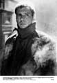 Blade Runner - 8 x 10 B&W Photo #15