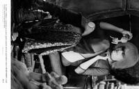 Blade Runner - 8 x 10 B&W Photo #7