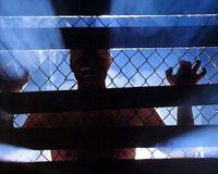 Blade Runner - 8 x 10 Color Photo #9