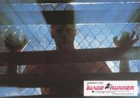 Blade Runner - 8 x 10 Color Photo #22