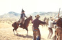 Blazing Saddles - 8 x 10 Color Photo #15