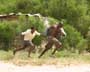 Blood Diamond - 8 x 10 Color Photo #29