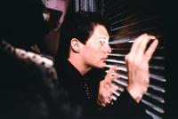 Blue Velvet - 8 x 10 Color Photo #2