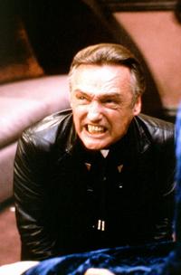 Blue Velvet - 8 x 10 Color Photo #16