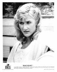 Blue Velvet - 8 x 10 B&W Photo #1