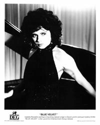 Blue Velvet - 8 x 10 B&W Photo #5