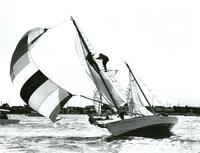 The Boatniks - 8 x 10 B&W Photo #7