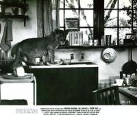 Born Free - 8 x 10 B&W Photo #8
