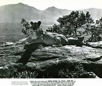 Born Free - 8 x 10 B&W Photo #9