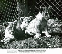 Born Free - 8 x 10 B&W Photo #10